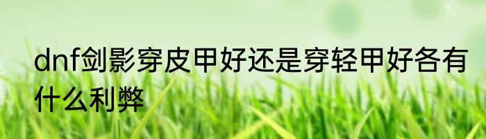 dnf剑影穿皮甲好还是穿轻甲好各有什么利弊