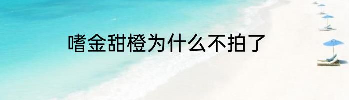 嗜金甜橙为什么不拍了