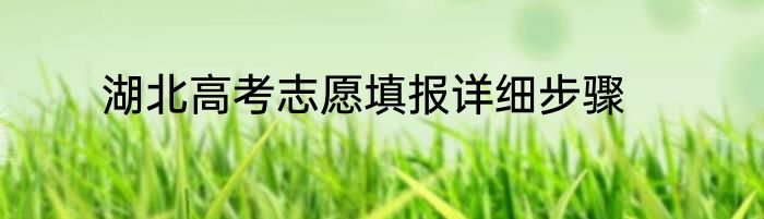 湖北高考志愿填报详细步骤
