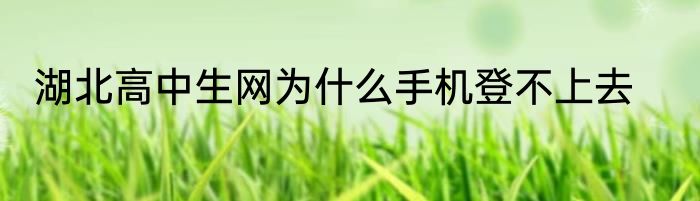 湖北高中生网为什么手机登不上去