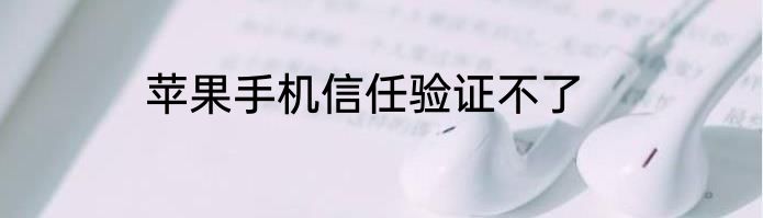 苹果手机信任验证不了