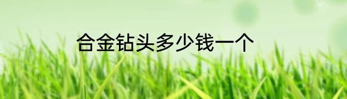 合金钻头多少钱一个