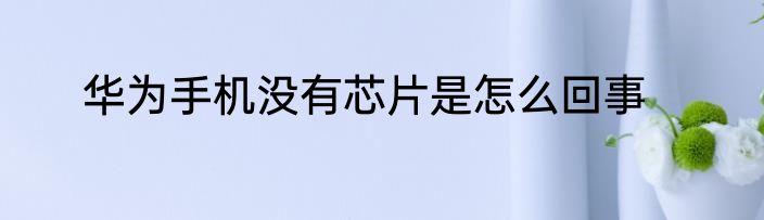 华为手机没有芯片是怎么回事