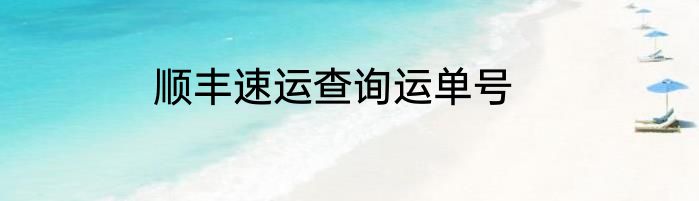 顺丰速运查询运单号
