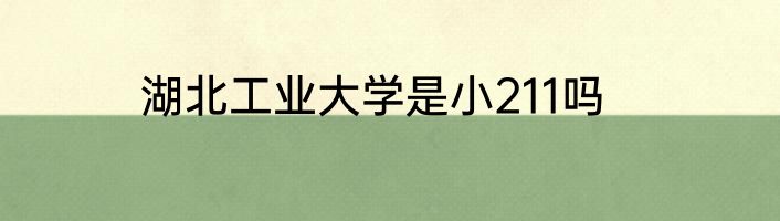 湖北工业大学是小211吗