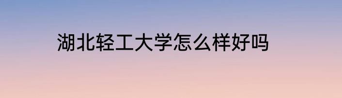 湖北轻工大学怎么样好吗