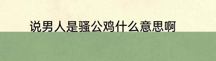 说男人是骚公鸡什么意思啊