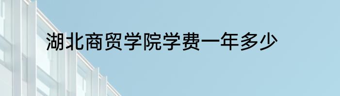湖北商贸学院学费一年多少
