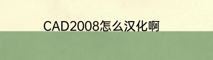 CAD2008怎么汉化啊