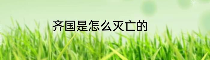 齐国是怎么灭亡的