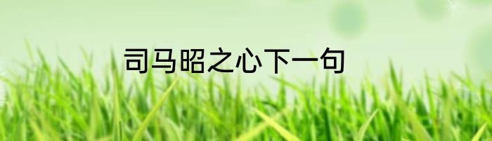 司马昭之心下一句